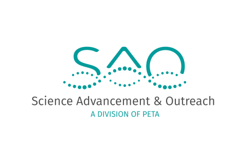 SAO website logo